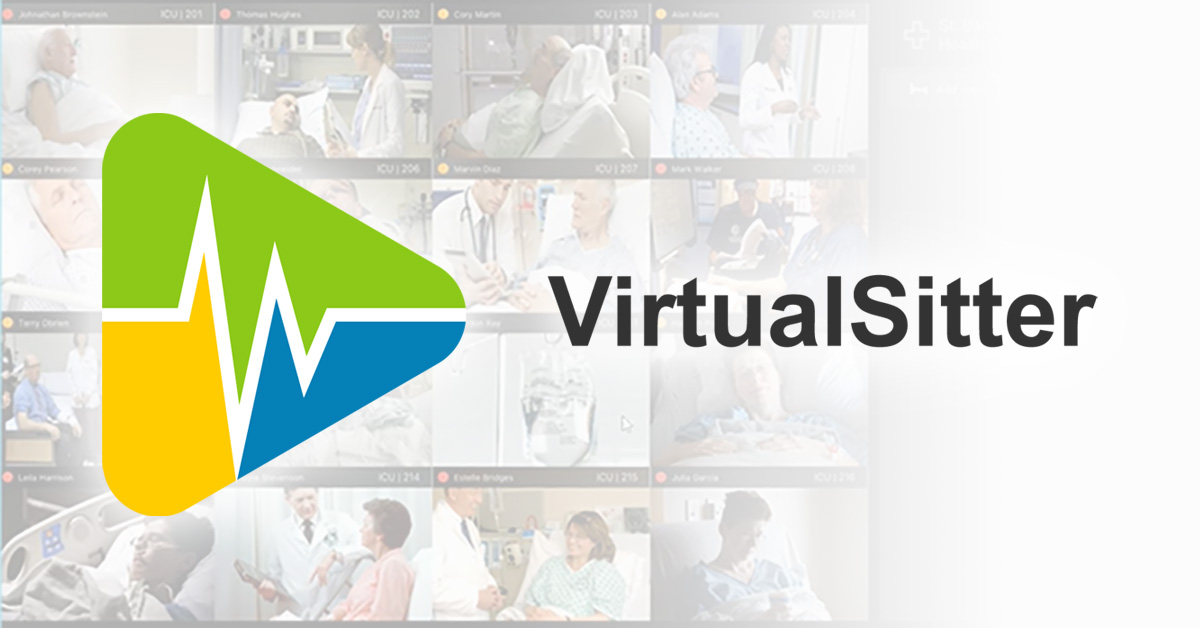 VirtualSitterロゴ