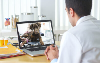 Unconventional Uses for Telehealth